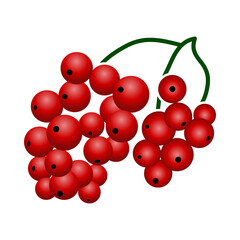 Icon Of Black Currant In Ui Colors