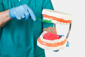 Mano de dentista sosteniendo una mandíbula de dientes y un cepillo de dientes. Vista de frente y...