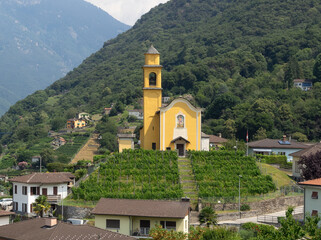 Fototapeta na wymiar aerial view from bellinzona castle of San Sebastian, yellow church on the hill surrounded by grapevine