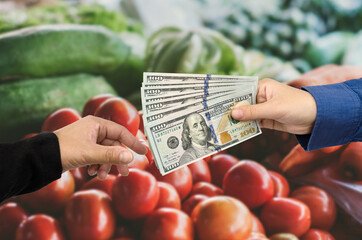 The hand passes dollars in the supermarket. shopping concept.