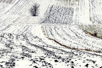 Naklejka premium Snow-covered plowed field. Agricultural land in winter