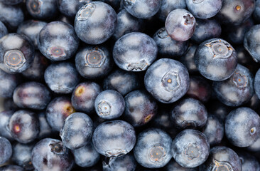 Fresh blueberry background. Texture blueberry berries close up.