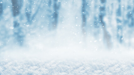 Snow-covered ground and defocused trees in the forest during a snowfall