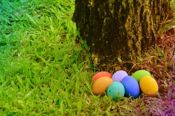 Variety of colorful Easter eggs on grass, selective focus
