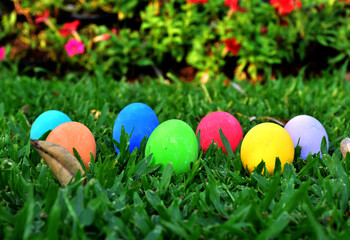 Variety of colorful Easter eggs on grass, selective focus