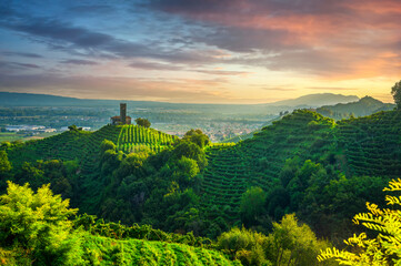 Prosecco Hills, vineyards and San Lorenzo church. Unesco Site. Veneto, Italy - 378293607