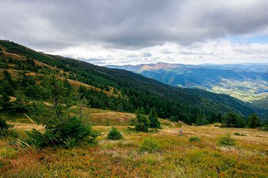 beautiful autumn landscape. hillside of mountain range with coniferous forest and meadow