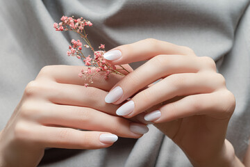 Female hands with white nail design. Female hands holding pink autumn flower. Woman hands on grey fabrick background - obrazy, fototapety, plakaty