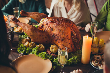 Cropped photo served table thanks giving dinner garnished turkey family generation gathering evening blessing candle fire living room indoors