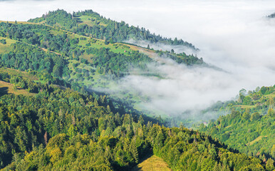 View of the mountain landscape and the mist-shrouded valley. Carpathians.