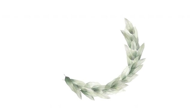 wreath of foliage eucalyptus leaves herbal watercolor frame  white matte alpha channel