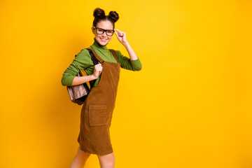 Portrait of her she nice attractive cheerful diligent intellectual girl nerd attending new semester...