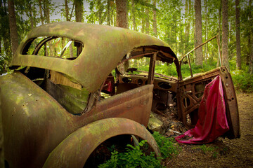 Car wreck abandoned in the woods.