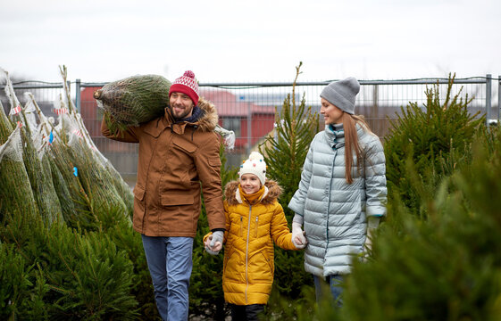 family, winter holidays and people concept - happy mother, father and little daughter buying christmas tree at street market