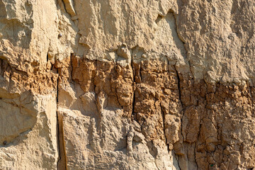Soil cut texture