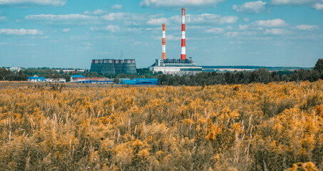 Pipes and cooling towers of CHP among yellow flowers field. Industry and nature together.