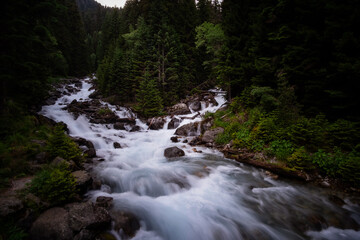 Fototapeta na wymiar mountain river in a beautiful ancient forest. North Caucasus, Dombai, Russia, Baduk River
