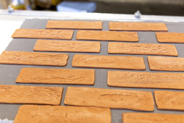 Industrial production of elastic clinker tiles. Modern technologies with the use of polymeric...