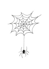 Graphic illustration of spider and cobwebs.
