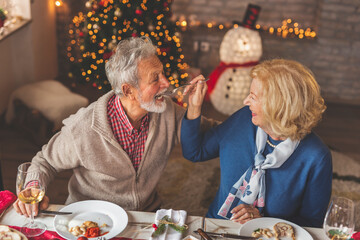 Senior couple eating Christmas dinner with family