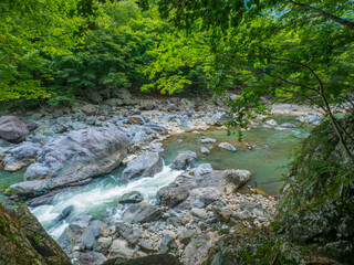 Naklejka na ściany i meble A river flowing between rocks (Tochigi, Japan)