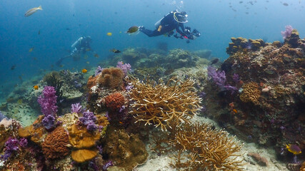 Obraz na płótnie Canvas Lipe stoneheange underwater paradise of undaman sea