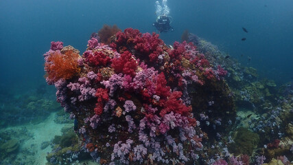 Naklejka na ściany i meble Lipe stoneheange underwater paradise of undaman sea