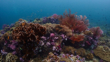 Fototapeta na wymiar Lipe stoneheange underwater paradise of undaman sea