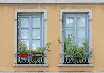 Windows with flowers