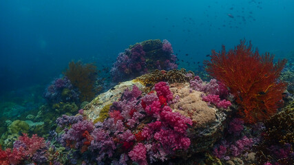 Fototapeta na wymiar Lipe stoneheange underwater paradise of undaman sea