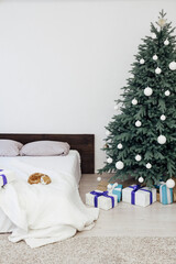 Blue Christmas tree in bedroom pine decor for the new year with gifts