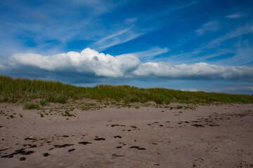 Beach of the Baltic sea. Green short grass on red sand dune. Black seaweeds. Blue sky with jet trails and beautiful white cloud. Estonia, Saaremaa, Harilaid nature reserve..