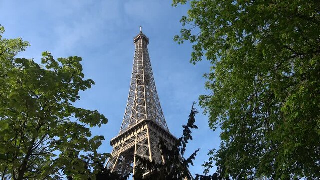 Eiffel Tower among Trees