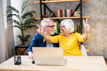 Older grey-haired husband and wife looks on laptop indoor with a winery smiles. Excited mature couple reading good news on computer, a wife is shows victory gestures