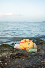 plastic pollution on the beach and dead crustaceans