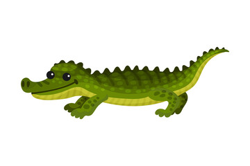 Alligator Crocodile with Long Tail and Sharp Teeth as African Animal Vector Illustration