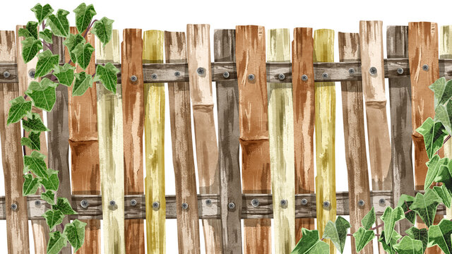 745 Best つる草 Images Stock Photos Vectors Adobe Stock