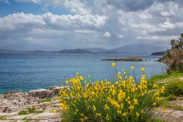 Fotobehang Beautiful summer landscape with sea lagoon, rocks and cliffs, green bushes and yellow flowers on the coast, mountains on the horizon and clouds on the sky. © elenakirey