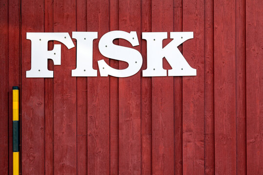 Fisk Frische Fische