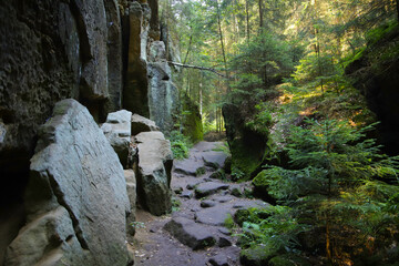 The hiking trail 