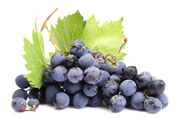 Grapes on a white background