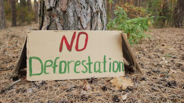 Posters with messages Save the Forest, Save the Planet and No Deforestation left by activists around a tree trunk in the forest. The camera moves with acceleration and deceleration around the tree