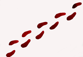 blood trail of rose petals on a light background