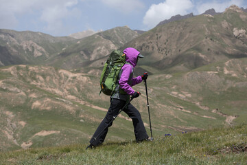 Successful woman hiker  climbing to high altitude mountain top