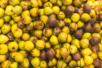 Full frame photo of yellow pears