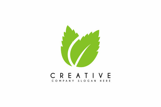 Fresh mint leaves logo design on white background. Vector illustration