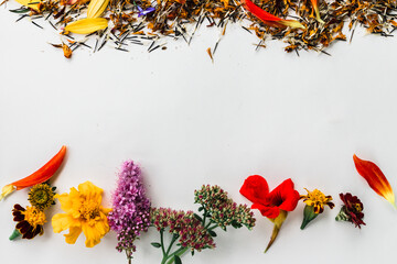 frame made of flowers