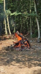 fire in the forest