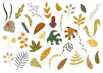 A set of various leaves in autumn colors. Twigs and leaves of different shapes in the cartoon flat style. Vector illustration.