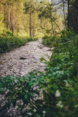 small mountain river